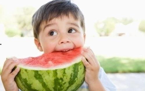 小宝带你吃瓜娱乐圈小说